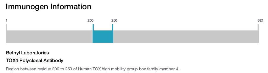 TOX4 Polyclonal Antibody