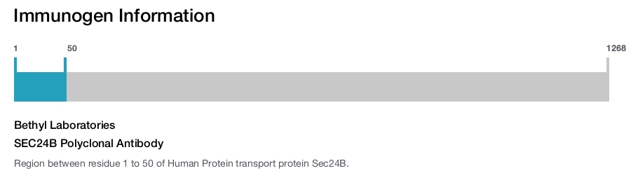 SEC24B Polyclonal Antibody