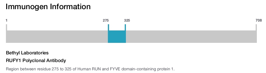 RUFY1 Polyclonal Antibody