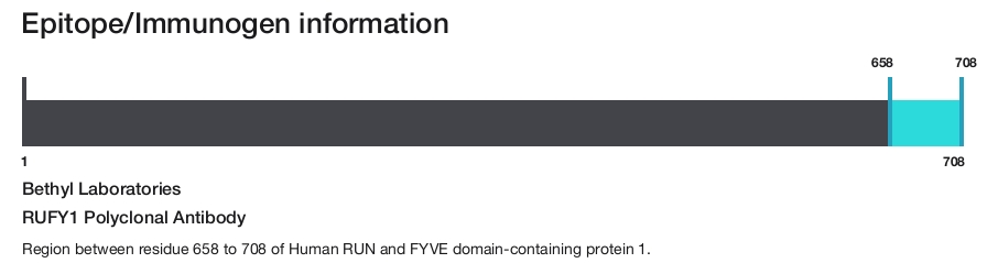 RUFY1 Polyclonal Antibody