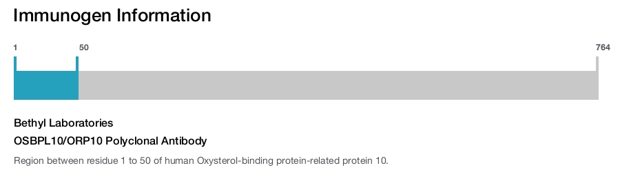OSBPL10/ORP10 Polyclonal Antibody
