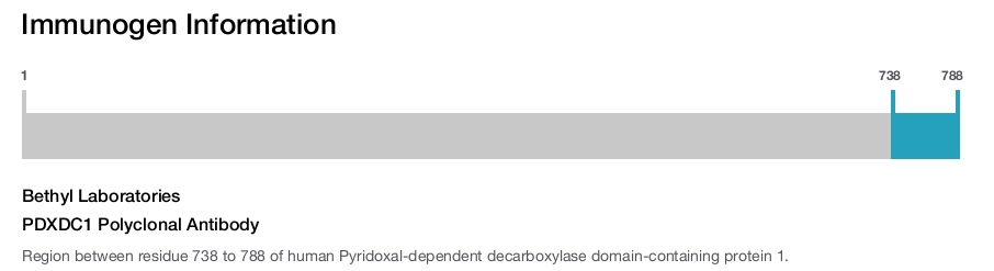 PDXDC1 Polyclonal Antibody