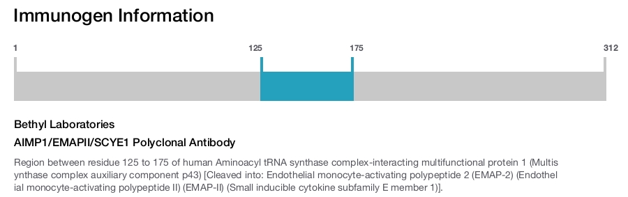 AIMP1/EMAPII/SCYE1 Polyclonal Antibody