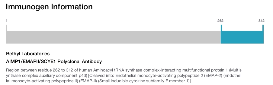 AIMP1/EMAPII/SCYE1 Polyclonal Antibody