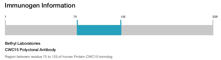 CWC15 Polyclonal Antibody