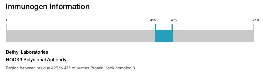 HOOK3 Polyclonal Antibody