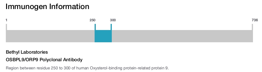 OSBPL9/ORP9 Polyclonal Antibody