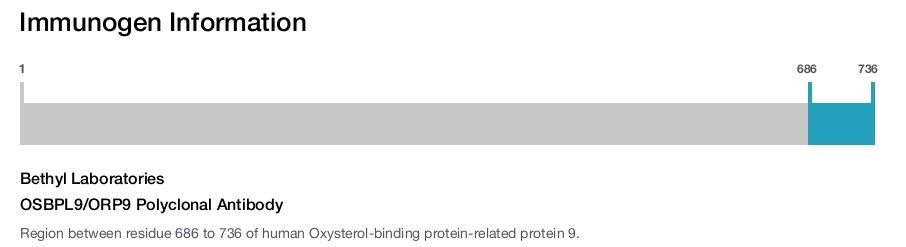 OSBPL9/ORP9 Polyclonal Antibody