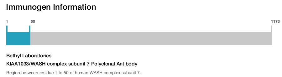 KIAA1033/WASH complex subunit 7 Polyclonal Antibody