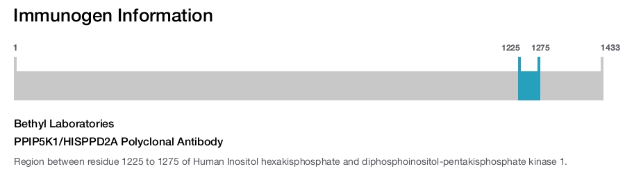 PPIP5K1/HISPPD2A Polyclonal Antibody