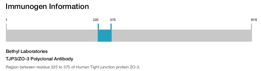 TJP3/ZO-3 Polyclonal Antibody