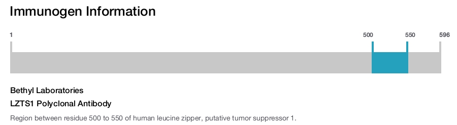 LZTS1 Polyclonal Antibody