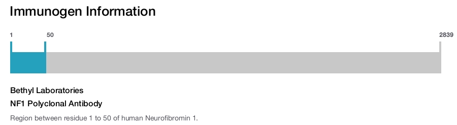 NF1 Polyclonal Antibody