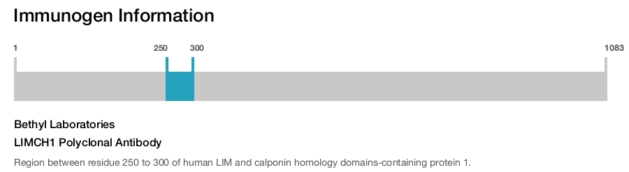 LIMCH1 Polyclonal Antibody