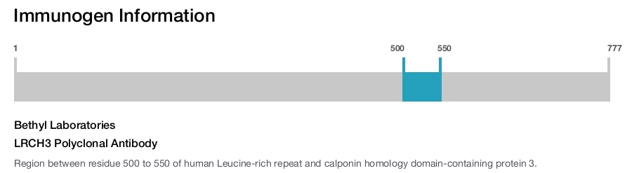 LRCH3 Polyclonal Antibody