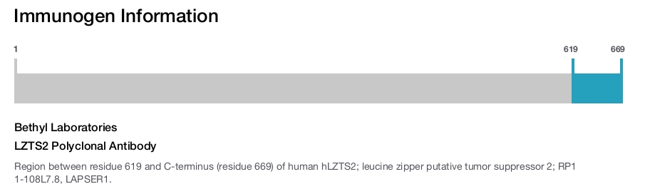 LZTS2 Polyclonal Antibody