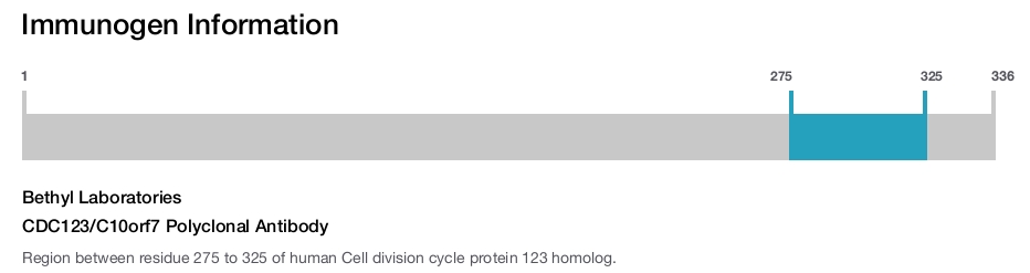CDC123/C10orf7 Polyclonal Antibody