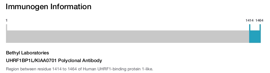 UHRF1BP1L/KIAA0701 Polyclonal Antibody