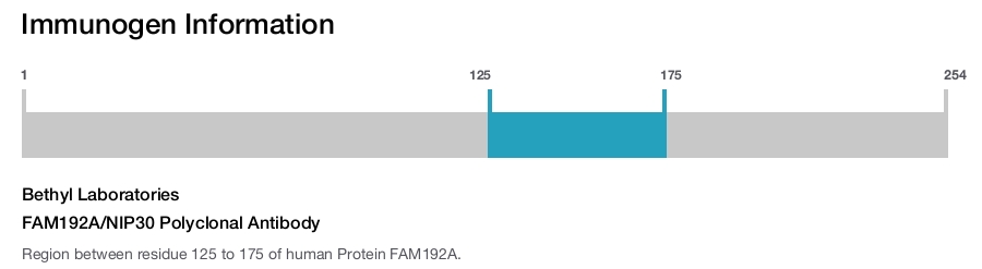 FAM192A/NIP30 Polyclonal Antibody