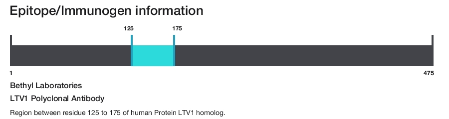 LTV1 Polyclonal Antibody
