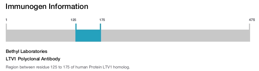 LTV1 Polyclonal Antibody
