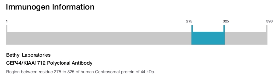 CEP44/KIAA1712 Polyclonal Antibody