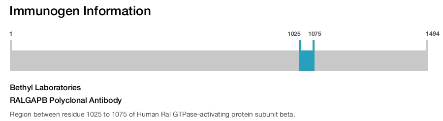 RALGAPB Polyclonal Antibody