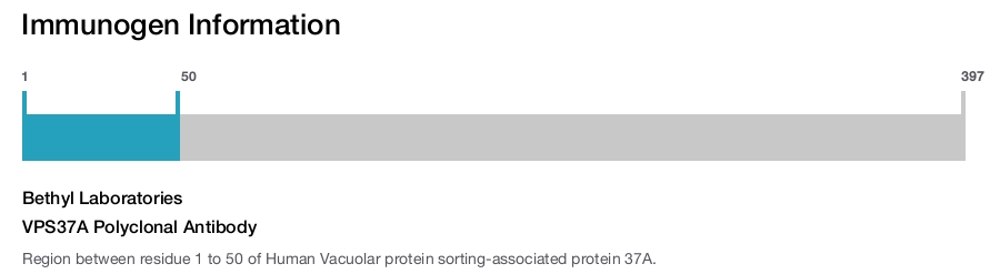 VPS37A Polyclonal Antibody