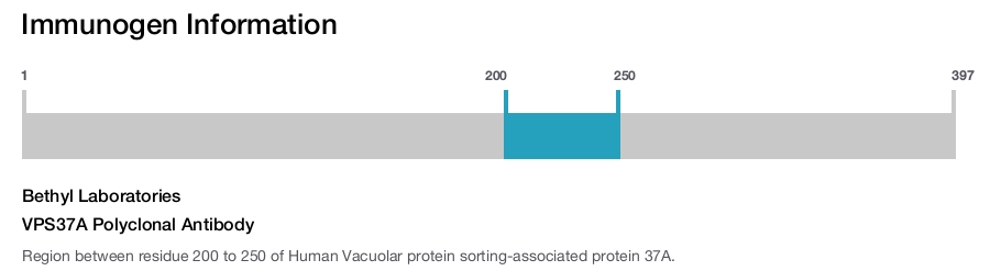 VPS37A Polyclonal Antibody