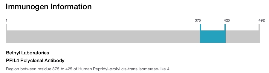 PPIL4 Polyclonal Antibody