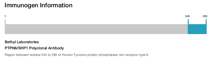 PTPN6/SHP1 Polyclonal Antibody