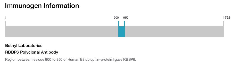 RBBP6 Polyclonal Antibody