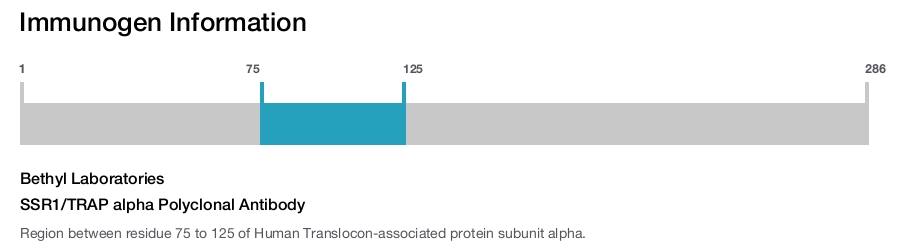 SSR1/TRAP alpha Polyclonal Antibody