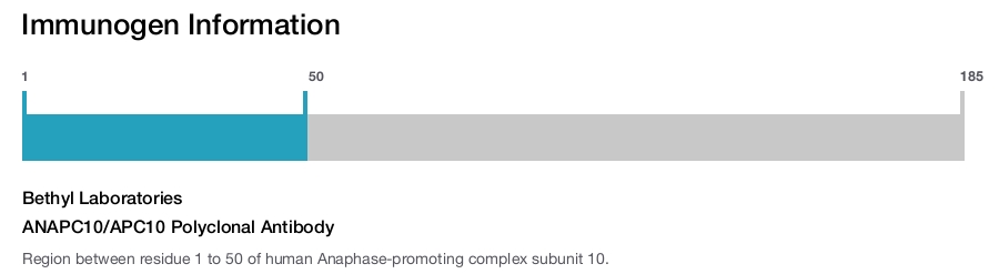 ANAPC10/APC10 Polyclonal Antibody