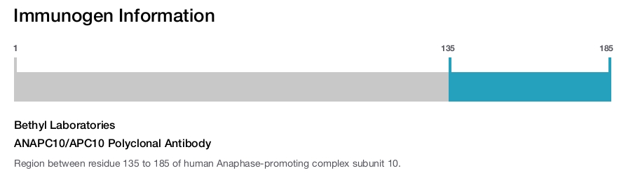 ANAPC10/APC10 Polyclonal Antibody