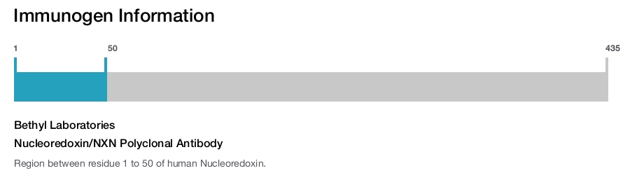 Nucleoredoxin/NXN Polyclonal Antibody