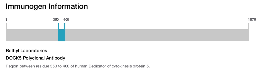 DOCK5 Polyclonal Antibody