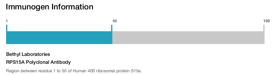RPS15A Polyclonal Antibody