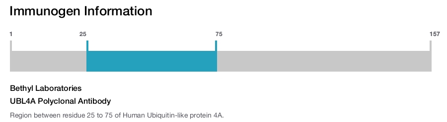 UBL4A Polyclonal Antibody