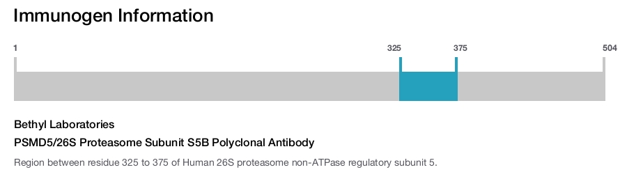 PSMD5/26S Proteasome Subunit S5B Polyclonal Antibody