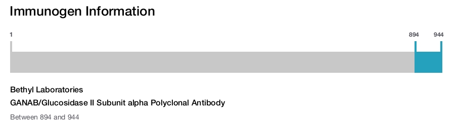 GANAB/Glucosidase II Subunit alpha Polyclonal Antibody
