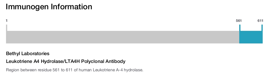 Leukotriene A4 Hydrolase/LTA4H Polyclonal Antibody