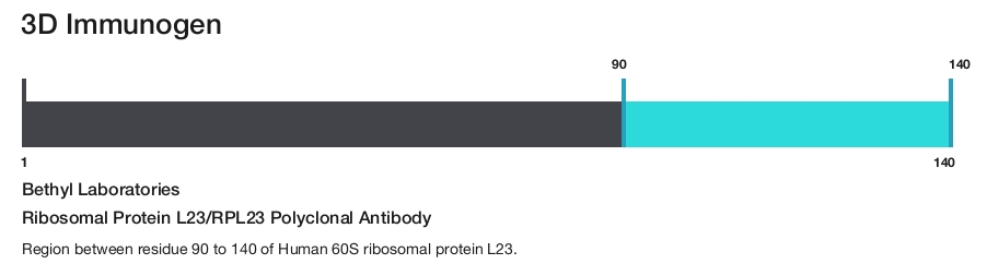 Ribosomal Protein L23/RPL23 Polyclonal Antibody