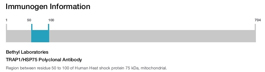 TRAP1/HSP75 Polyclonal Antibody