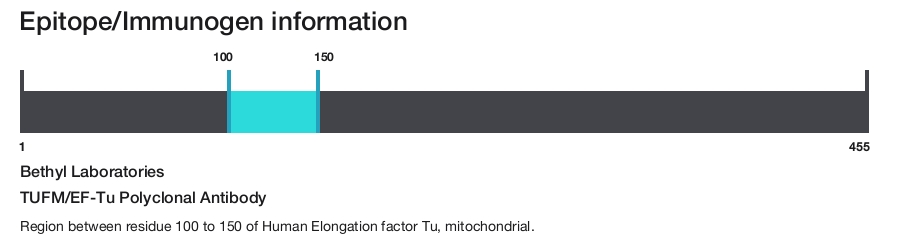 TUFM/EF-Tu Polyclonal Antibody