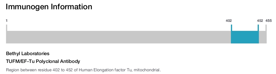 TUFM/EF-Tu Polyclonal Antibody
