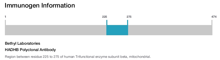 HADHB Polyclonal Antibody
