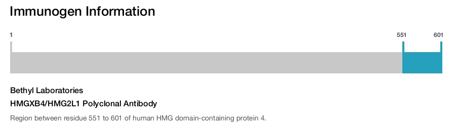 HMGXB4/HMG2L1 Polyclonal Antibody