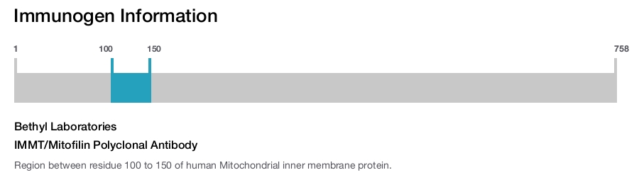 IMMT/Mitofilin Polyclonal Antibody