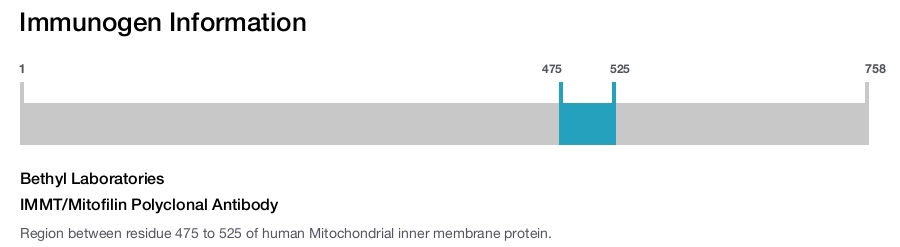 IMMT/Mitofilin Polyclonal Antibody